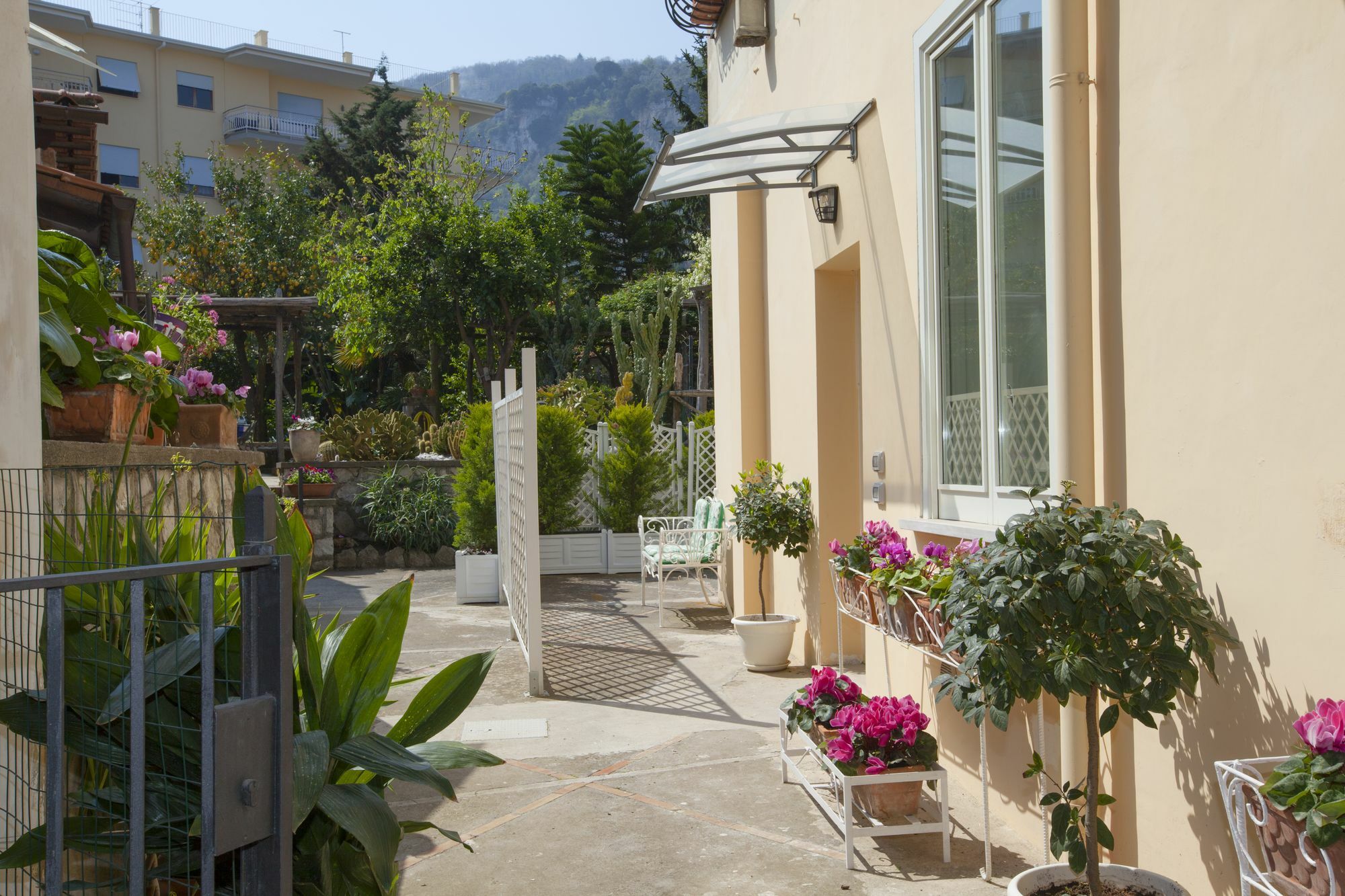 Dreaming Sorrento Suites Экстерьер фото